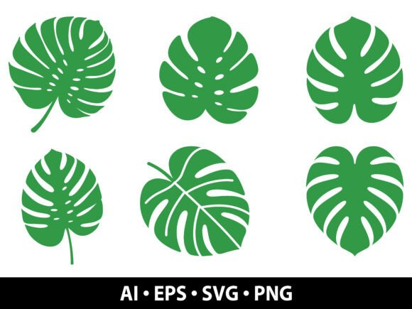 Download Monstera Leaf SVG Bundle - Svg Collection