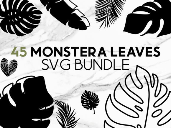 Download Monstera Leaves SVG Graphics - Svg Collection