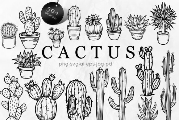 Download Cactus SVG Bundle | Succulent Line Art - Svg Collection